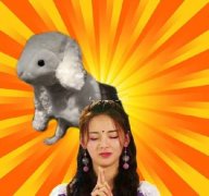 “錦鯉”是什么梗？中國第一座水電站“錦鯉”福利來襲！