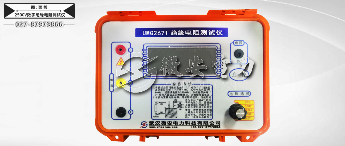 2500V數字絕緣電阻測試儀主機/附件